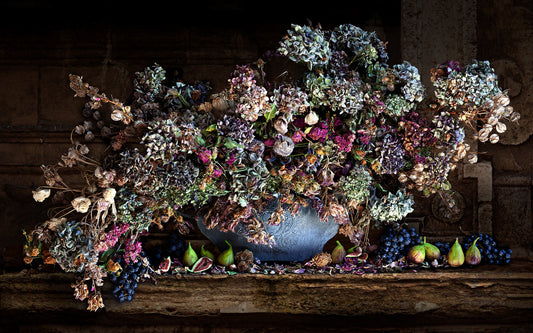 Figs and Hydrangeas Featured Limited Edition