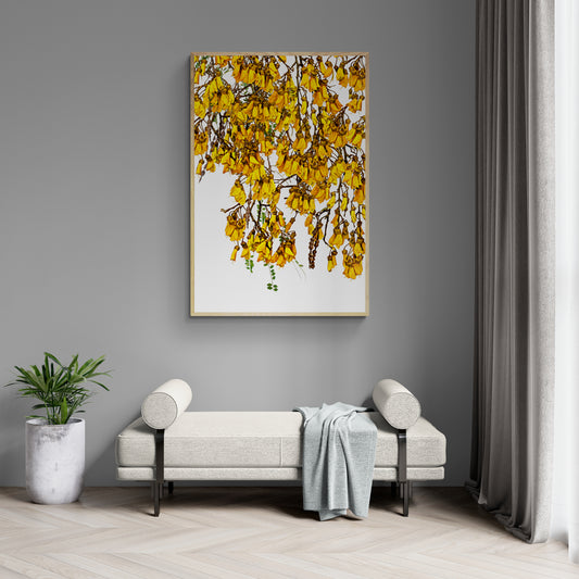 A Kowhai Garden Framed Art Print