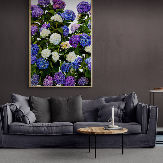 A Hydrangea Garden Framed Art Print